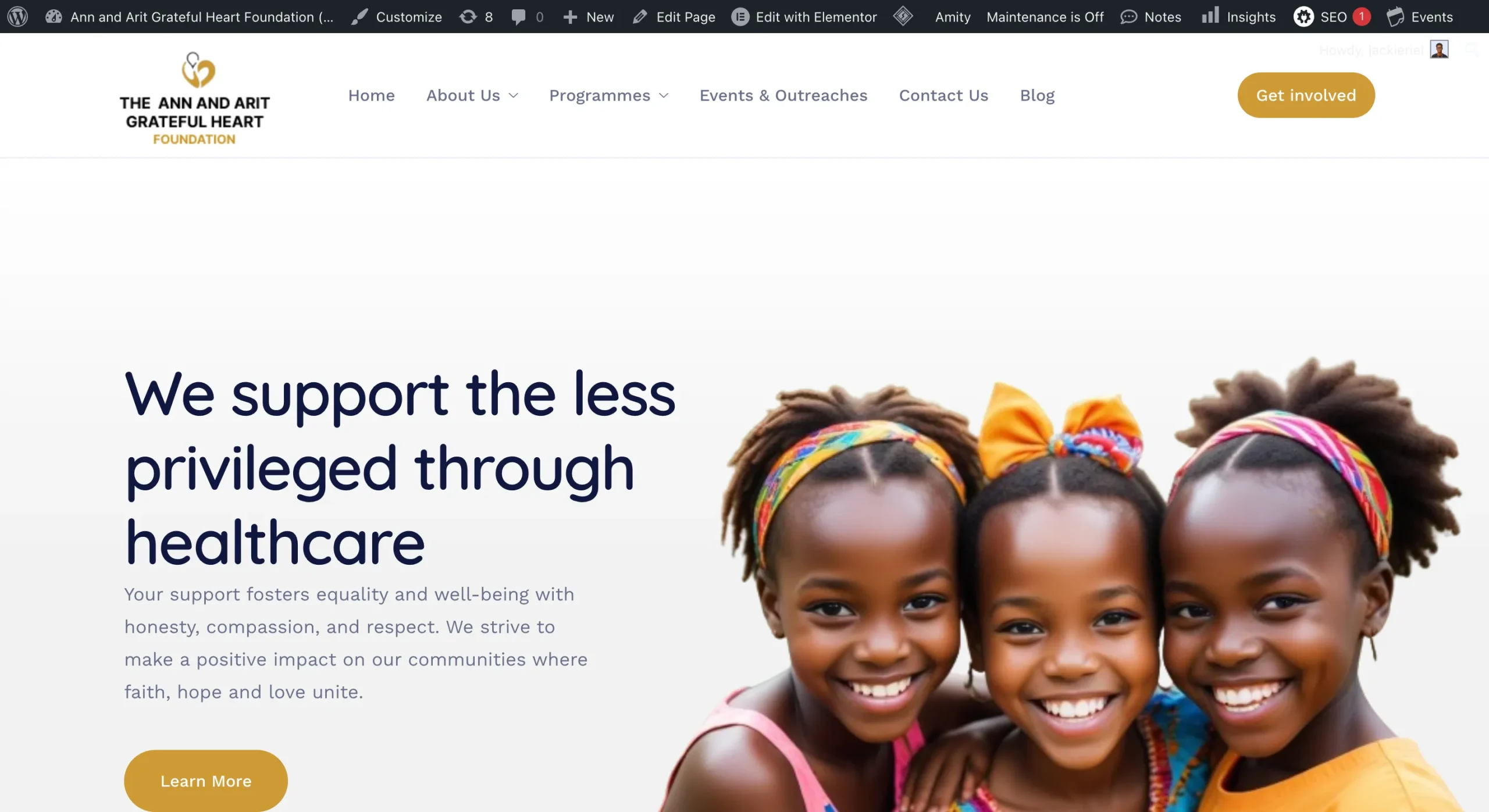 Ann and Arit Foundation